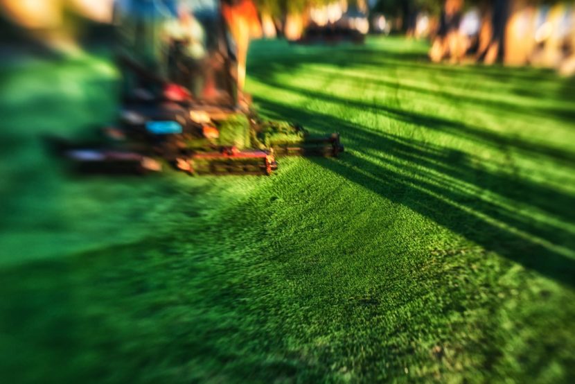 Tips for Cultivating a Stress-free Landscape Contract on vendorsmart.com