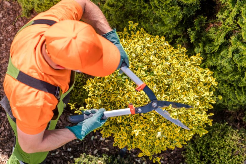 What’s Driving New Trends in Landscaping? on vendorsmart.com