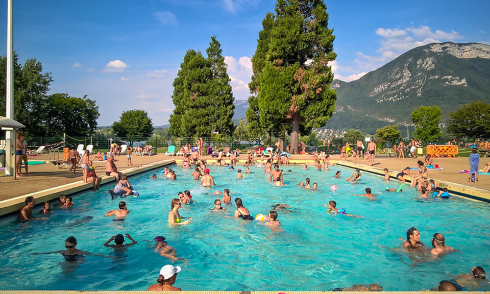 A group of people swimming. in a community swimming pool