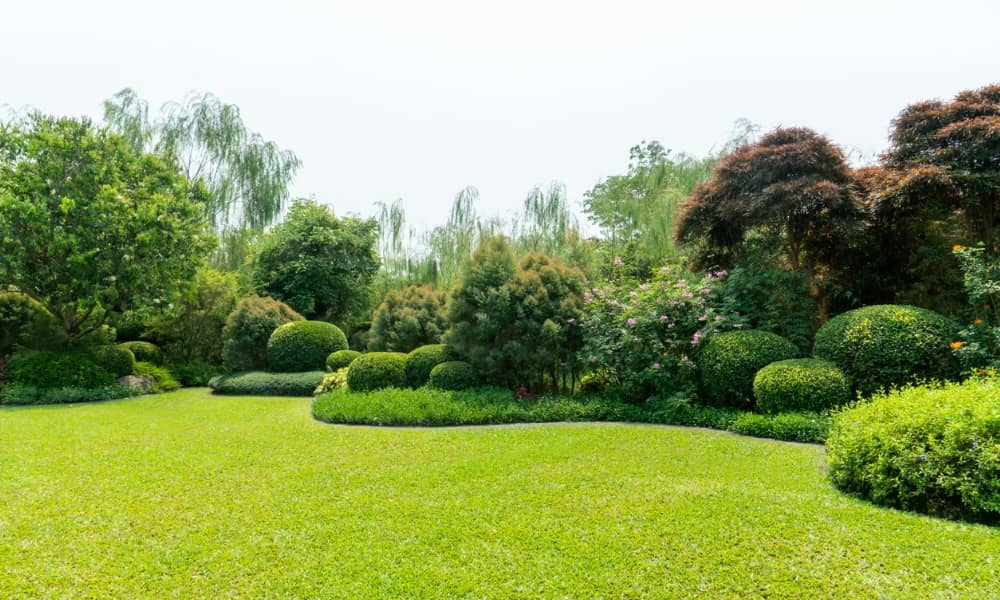 Picture of a landscape garden with a neatly mowed lawn