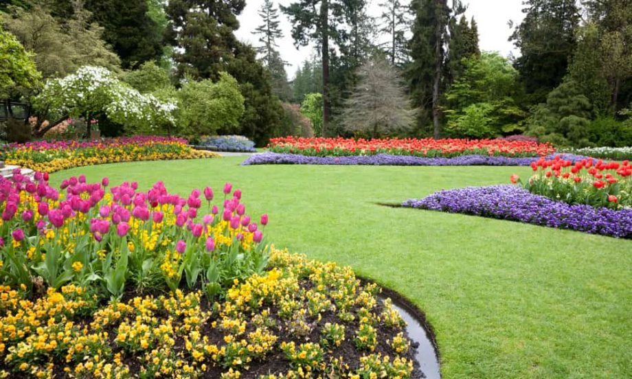 A picture of a beautifully landscaped garden of flowers.