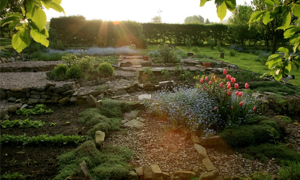 Photo of home garden cultivated with sustainable techniques.