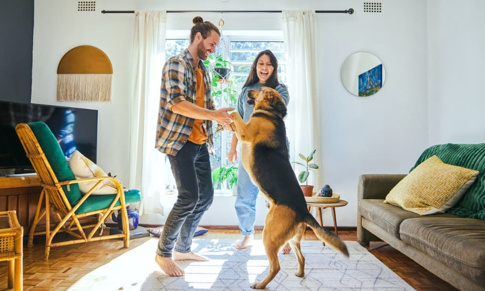 A happy couple playing with a dog in their apartment.