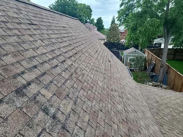 Roof Granule loss