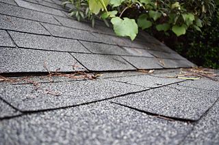asphalt shingle roof