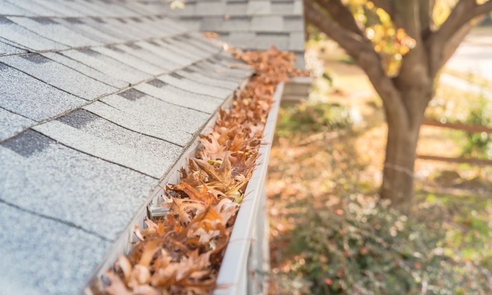 Roof clogged gutters